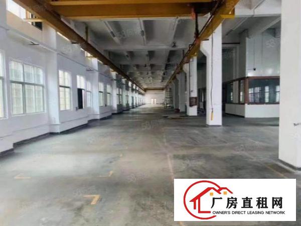  龙岗坪地新出原房东一楼500平重工业标准厂房出租有红本带牛角