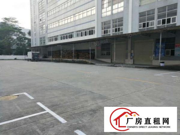  龙岗坪地国际低碳城6米高一楼3000平方带卸货平台厂房出租