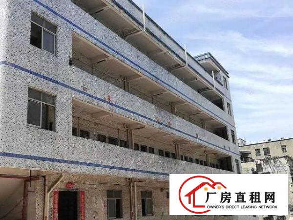  新出厂房6700任意组合业主给钱就租