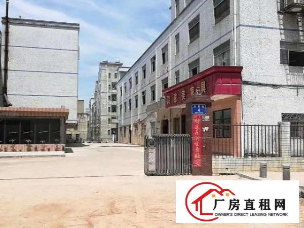  新出厂房6700任意组合业主给钱就租