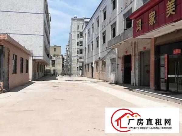  新出厂房6700任意组合业主给钱就租