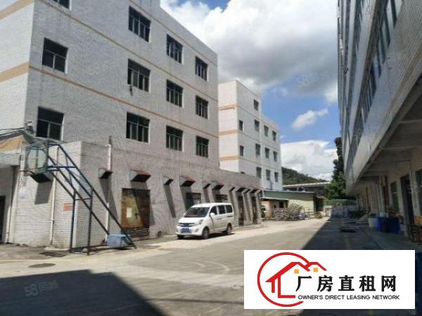  龙岗坪地盐龙大道旁10000平原房东标准厂房出租