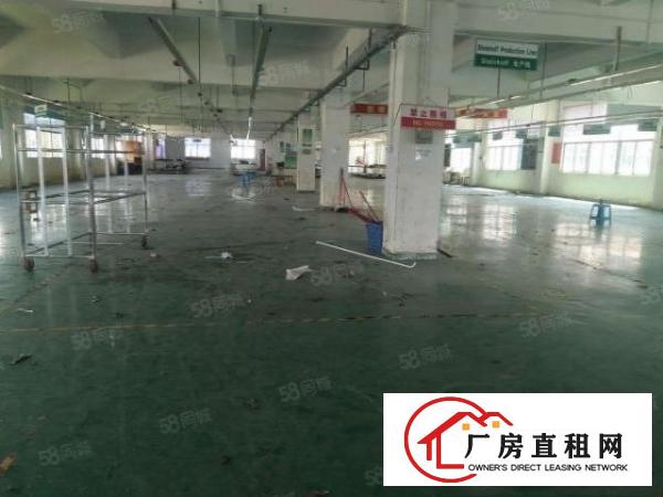  龙岗坪地盐龙大道旁10000平原房东标准厂房出租