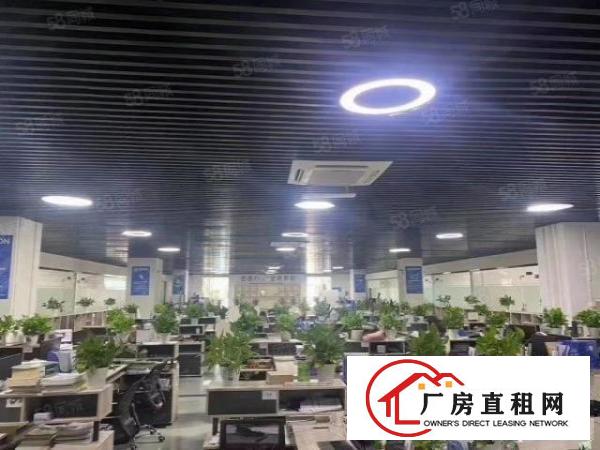  厂房龙岗坪地无尘车间3500平标准楼上厂房