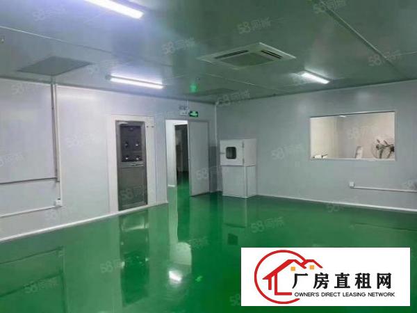  厂房龙岗坪地无尘车间3500平标准楼上厂房