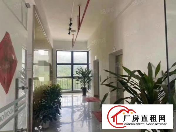  厂房龙岗坪地无尘车间3500平标准楼上厂房