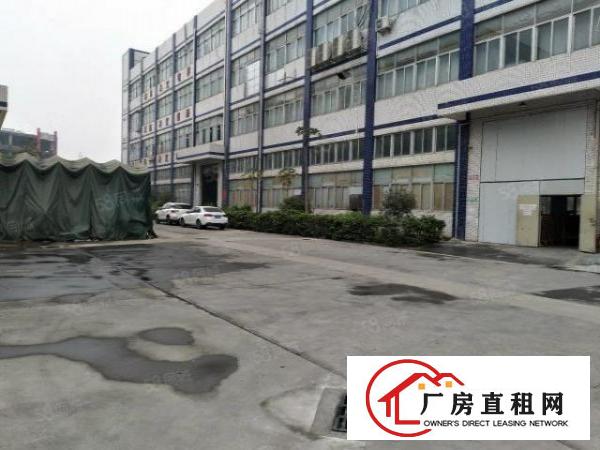  龙岗坪地标准一楼1200平方6米高工业区厂房出租