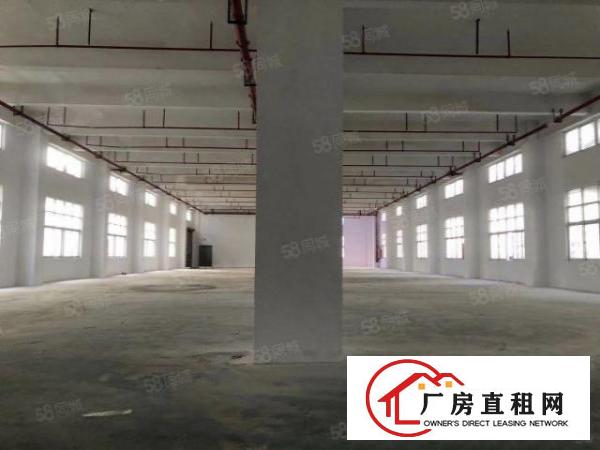  龙岗坪地标准一楼1200平方6米高工业区厂房出租