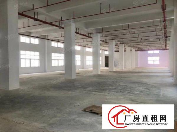  龙岗坪地标准一楼1200平方6米高工业区厂房出租