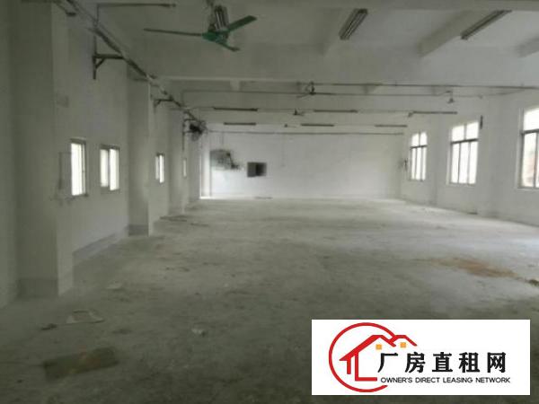  坪山碧岭金碧路597号厂房2800平米厂房招租