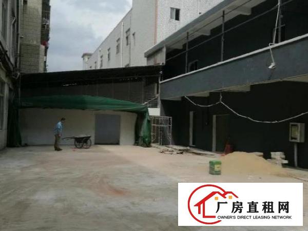  坪山碧岭金碧路597号厂房2800平米厂房招租