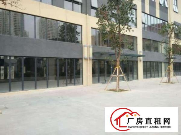  （原房东非中介）深中城生命科学园生物医疗产业园区厂房出租