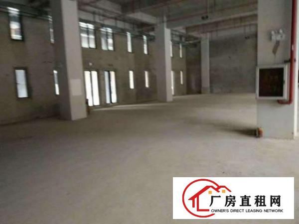  （原房东非中介）深中城生命科学园生物医疗产业园区厂房出租