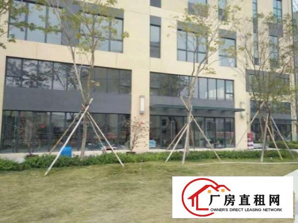  （原房东非中介）深中城生命科学园生物医疗产业园区厂房出租