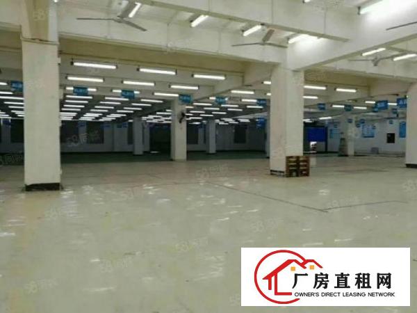  花园式厂房楼上2100平出租带红本高薪补贴坪山