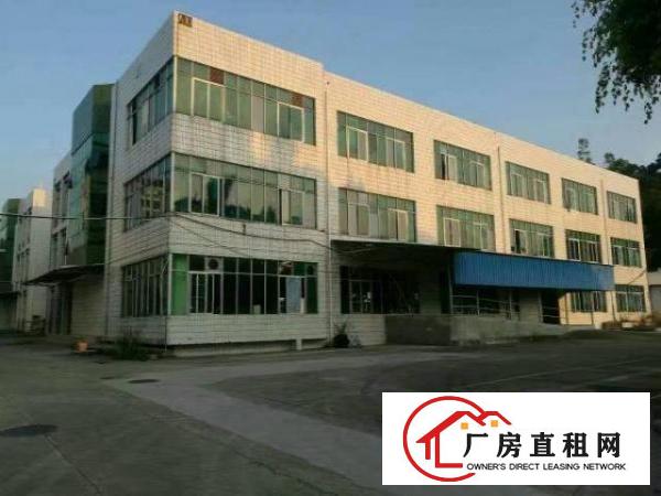  葵涌葵涌文化艺术中心旁厂房5300平米