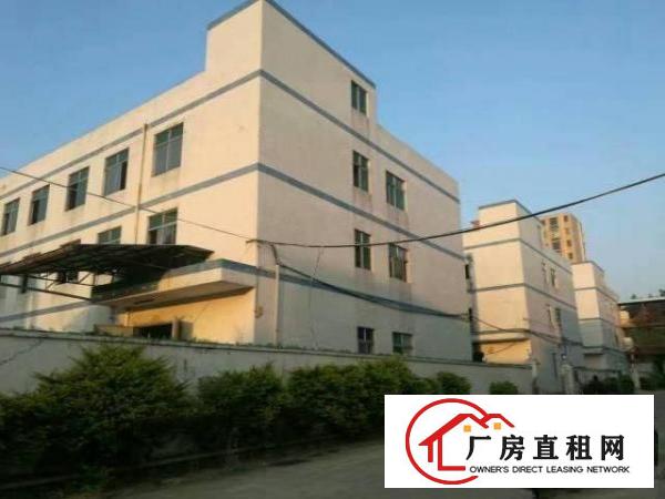  葵涌葵涌文化艺术中心旁厂房5300平米
