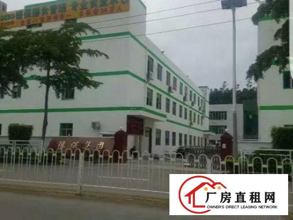  葵涌葵涌文化艺术中心旁厂房5300平米