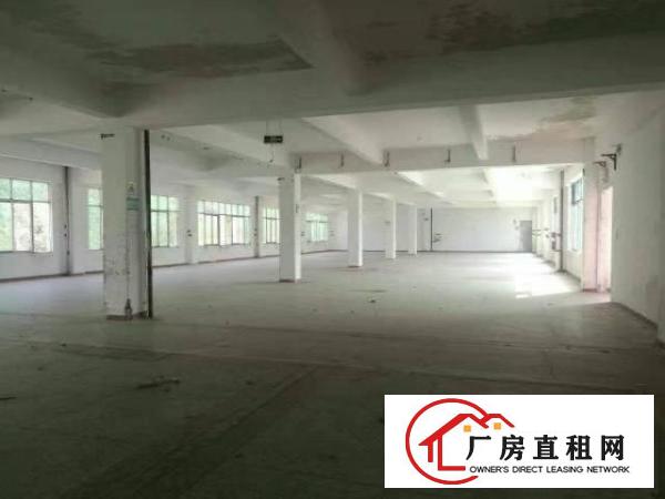  葵涌葵涌文化艺术中心旁厂房5300平米