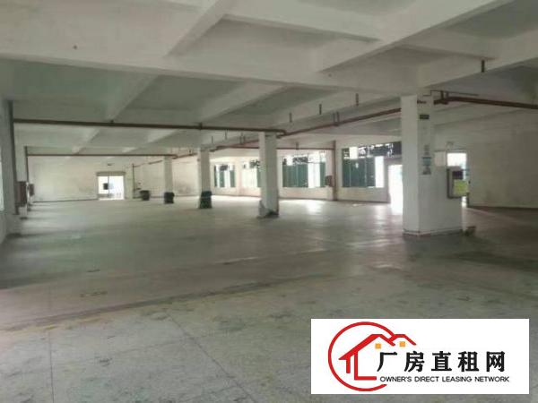  葵涌葵涌文化艺术中心旁厂房5300平米