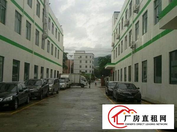  葵涌葵涌文化艺术中心旁厂房5300平米