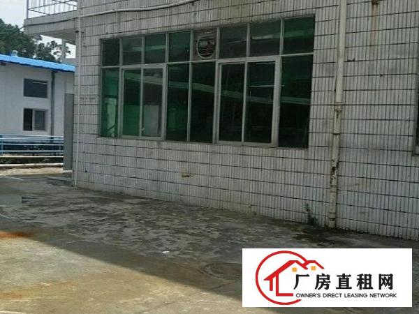  葵涌葵涌文化艺术中心旁厂房5300平米