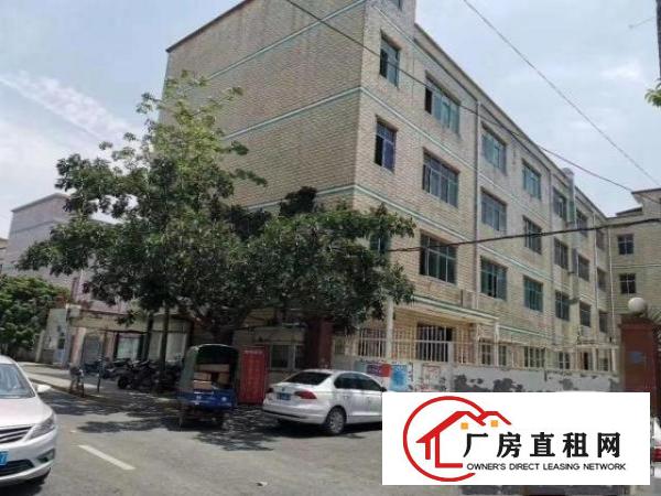  坪山区石井独门独院厂房对外招商出租