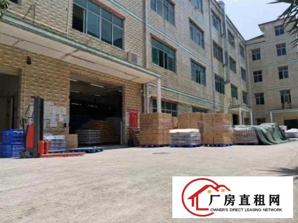  坪山区石井独门独院厂房对外招商出租