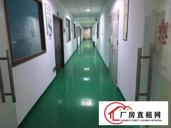  坪山石井新出独门独院标准厂房7500平
