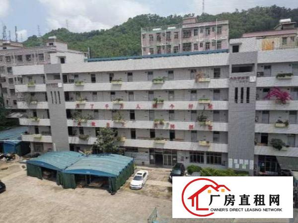  坪山沙湖工业区独院标准厂房14000平，可分租