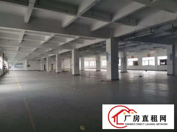  坪山沙湖工业区独院标准厂房14000平，可分租
