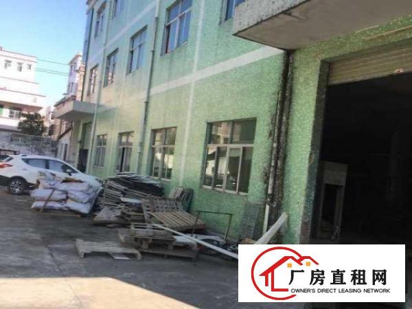  碧岭独院标准厂房三层带电梯3000平招商（可分租）