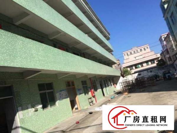  碧岭独院标准厂房三层带电梯3000平招商（可分租）