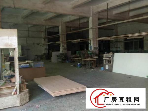  碧岭独院标准厂房三层带电梯3000平招商（可分租）