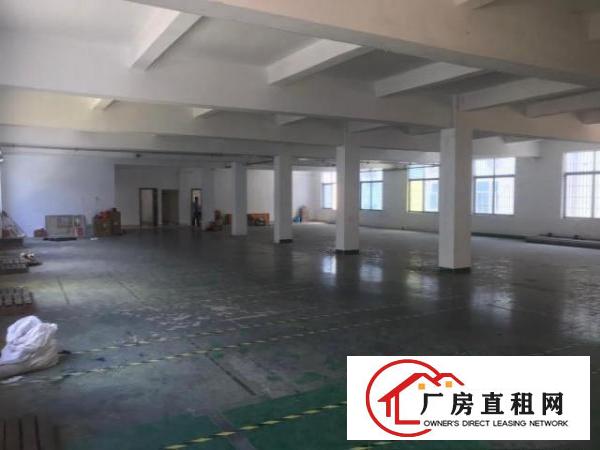  （房东直租）坪山中心800平研发仓库办公特惠招租