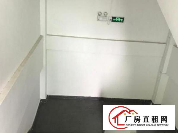  （房东直租）坪山中心800平研发仓库办公特惠招租
