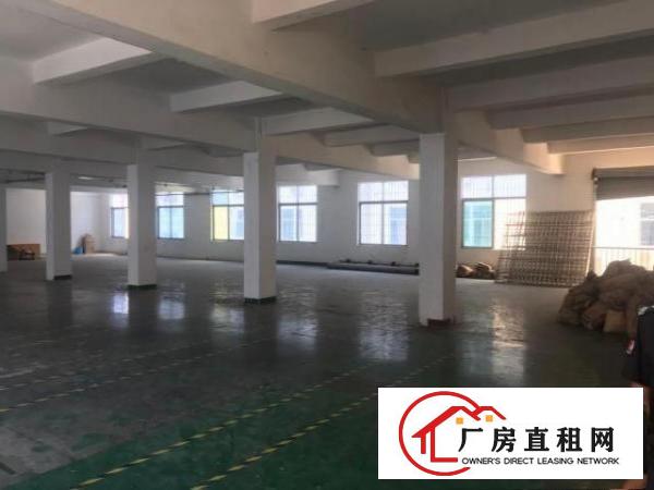  （房东直租）坪山中心800平研发仓库办公特惠招租
