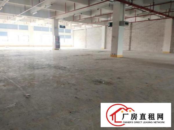  坪山坑梓新出厂房出租，5000㎡大小可分租