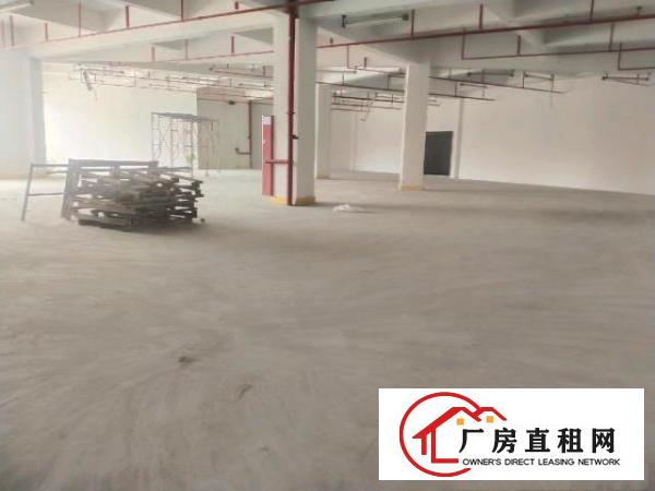  坪山坑梓新出厂房出租，5000㎡大小可分租