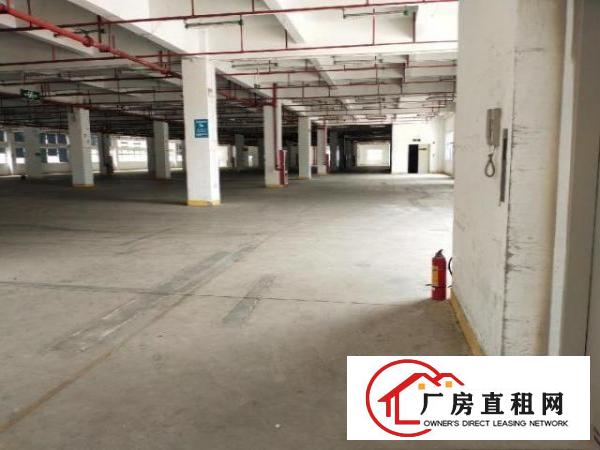  坪山坑梓新出厂房出租，5000㎡大小可分租
