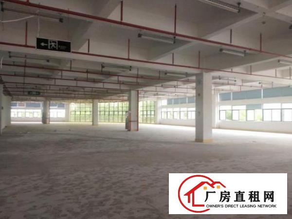  坪山坑梓新出厂房出租，5000㎡大小可分租