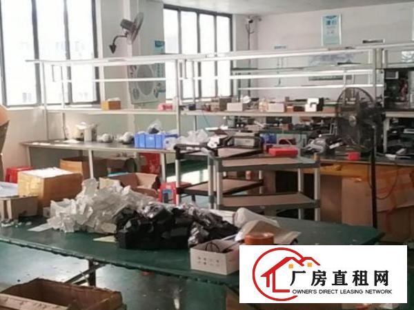  分租，没有中间差价，中介可以帮忙介绍