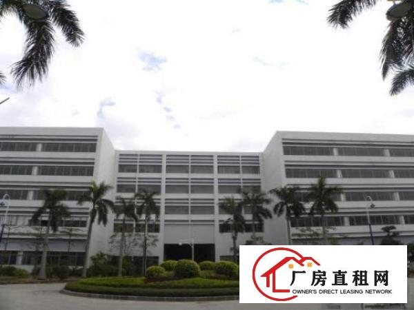  招租坪山华瀚科技大厦厂房、办公楼