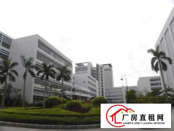  招租坪山华瀚科技大厦厂房、办公楼