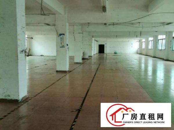  标准厂房出租配套齐全