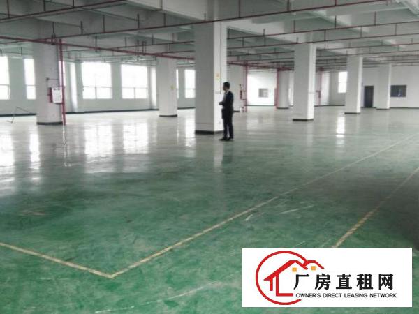  坪山坑梓秀新工业厂房300平方起招租