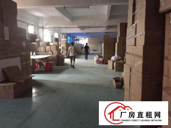 坪山横坪路旁标准独院厂房整租3900平米招租（可分）