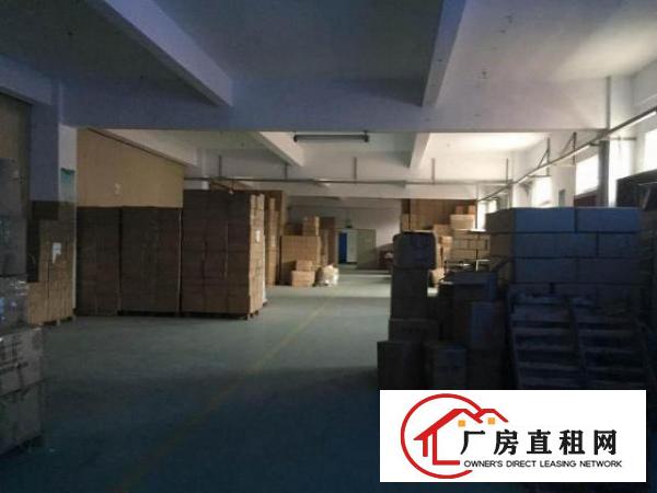  坪山横坪路旁标准独院厂房整租3900平米招租（可分）