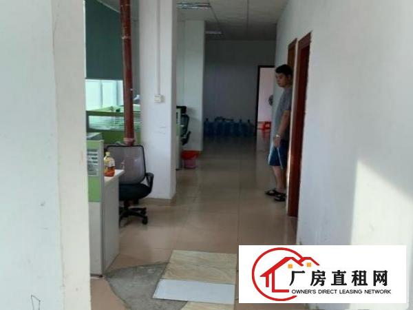  800平米厂房出租（可转）不要转让费