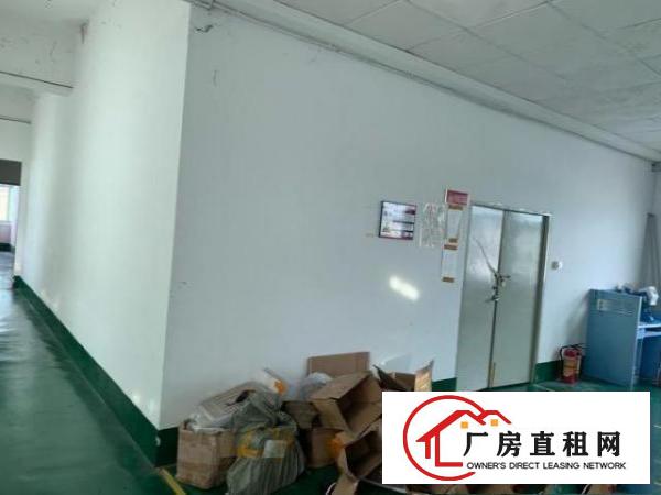  800平米厂房出租（可转）不要转让费